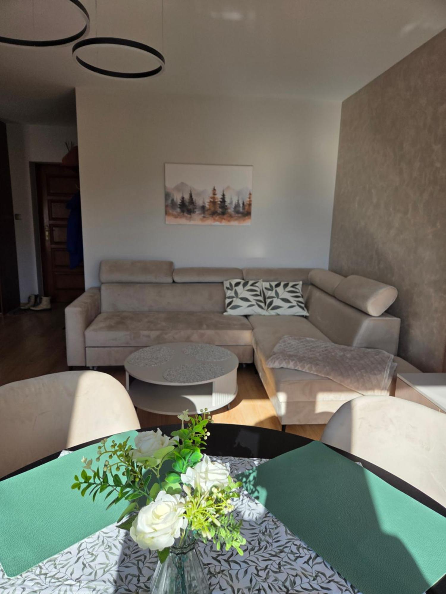 Apartament Kasprowy Косцелиско Экстерьер фото